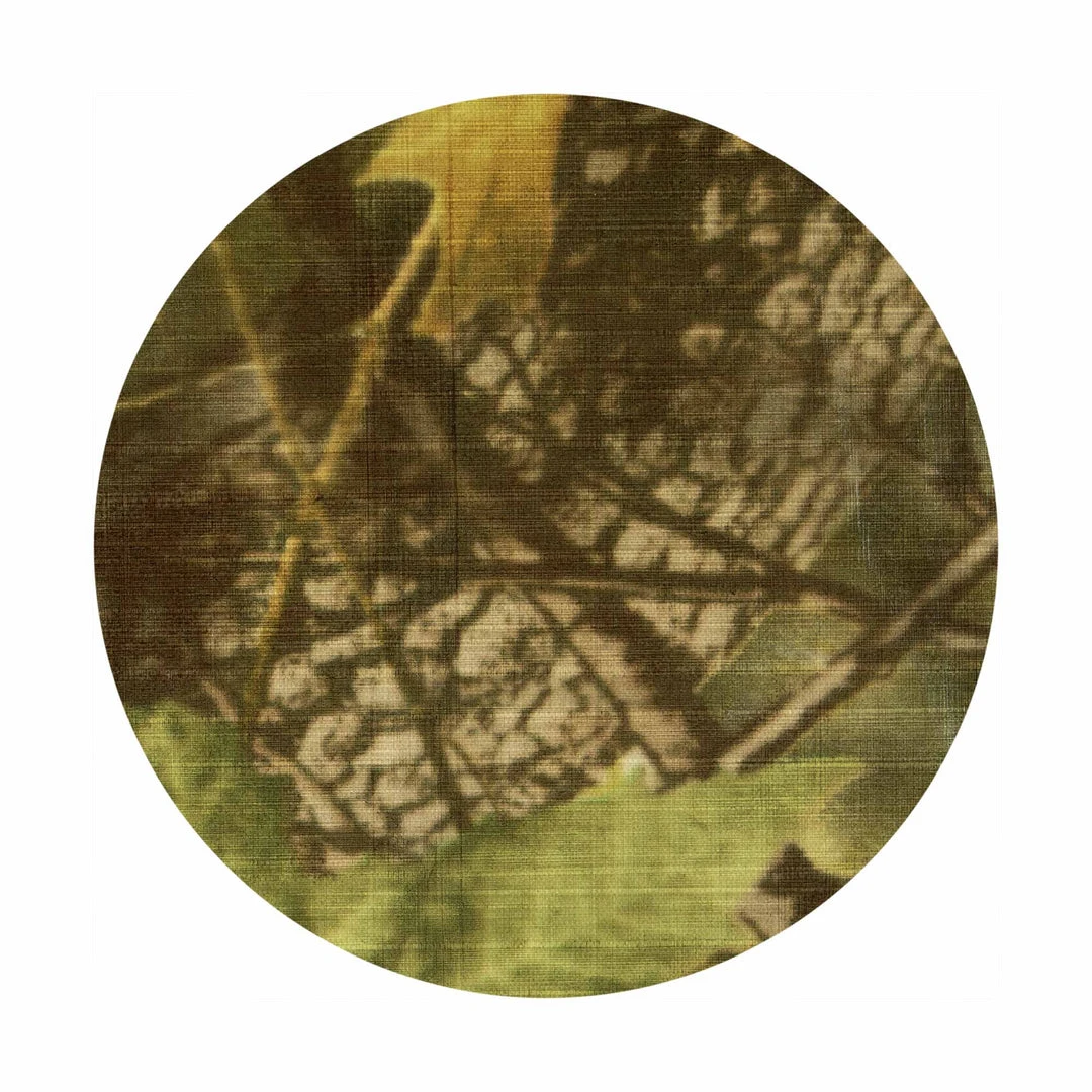 Flash Sale 💯 Ripstop By The Roll 0.67 Oz Camouflage Dyneema® Composite Fabric CT1E.08/C21K.18 - Full Roll ⌛ 1 Ripstop By The Roll 0.67 Oz Camouflage Dyneema® Composite Fabric CT1E.08/C21K.18 - Full Roll